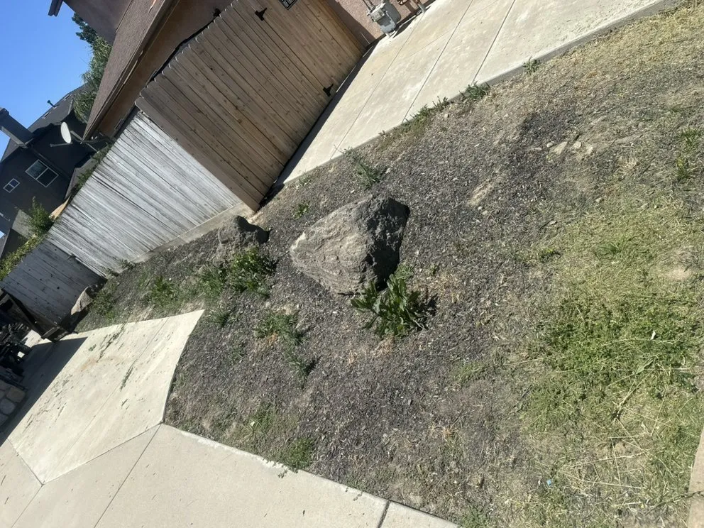 Trusted yard cleanup service in Lathrop, CA by Modesto Stone landscape