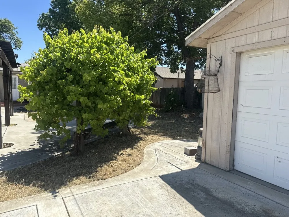 Top-rated lawn care service experts serving Lathrop, CA - Modesto Stone landscape