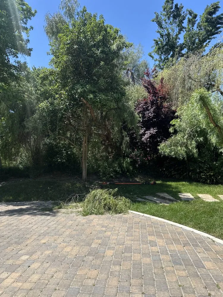 Custom garden landscaping for homes across Lathrop, CA - Modesto Stone landscape