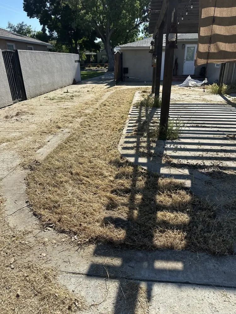 Trusted yard cleanup service experts serving Lathrop, CA - Modesto Stone landscape