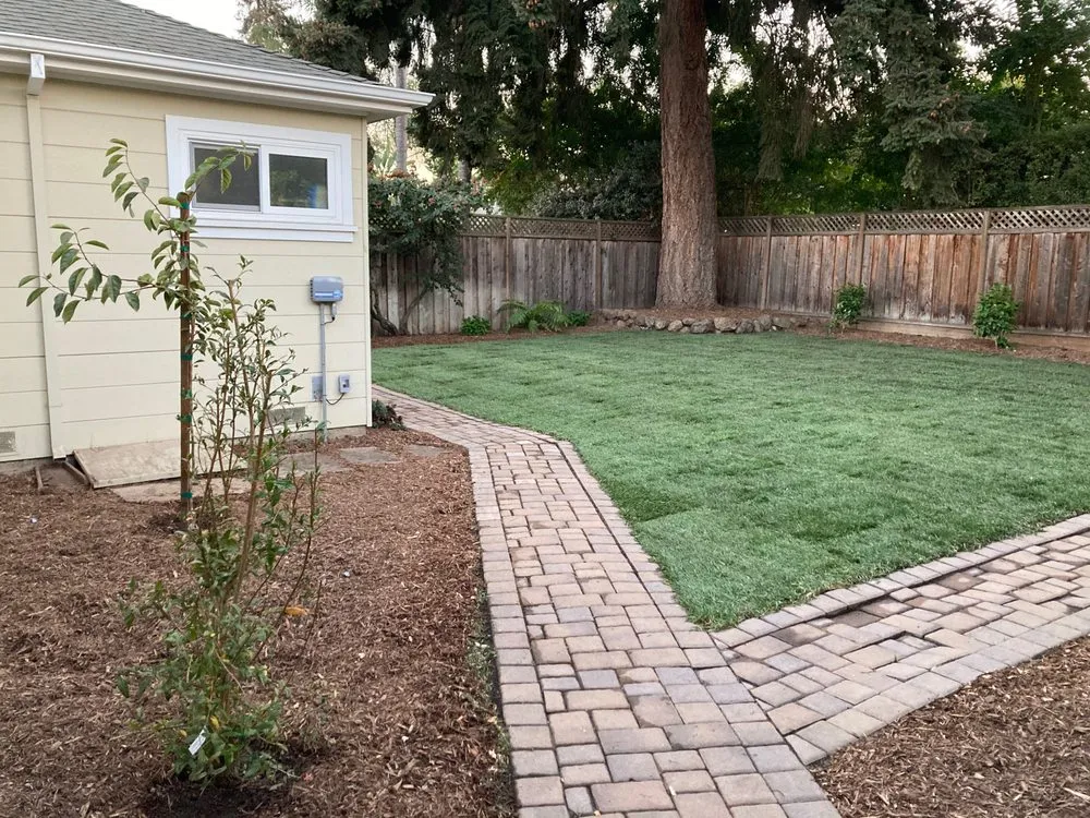 Trusted yard cleanup service in Redwood City, CA by Modica Landscaping