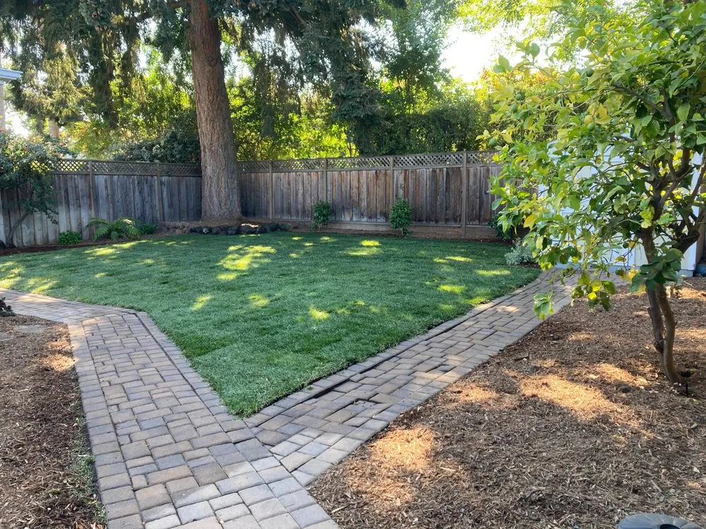Top-rated lawn mowing service for year-round maintenance across Redwood City, CA - Modica Landscaping