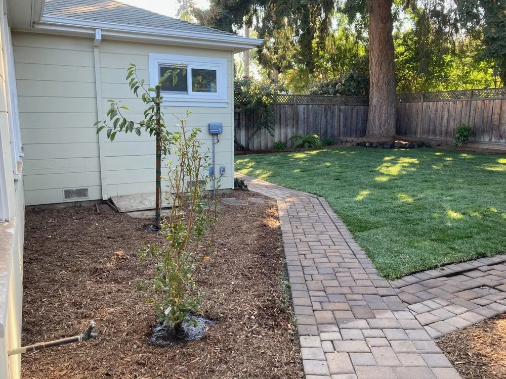 Affordable garden landscaping in Redwood City, CA by Modica Landscaping