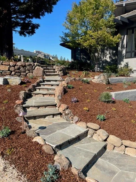 Local yard cleanup service for homes across Redwood City, CA - Modica Landscaping