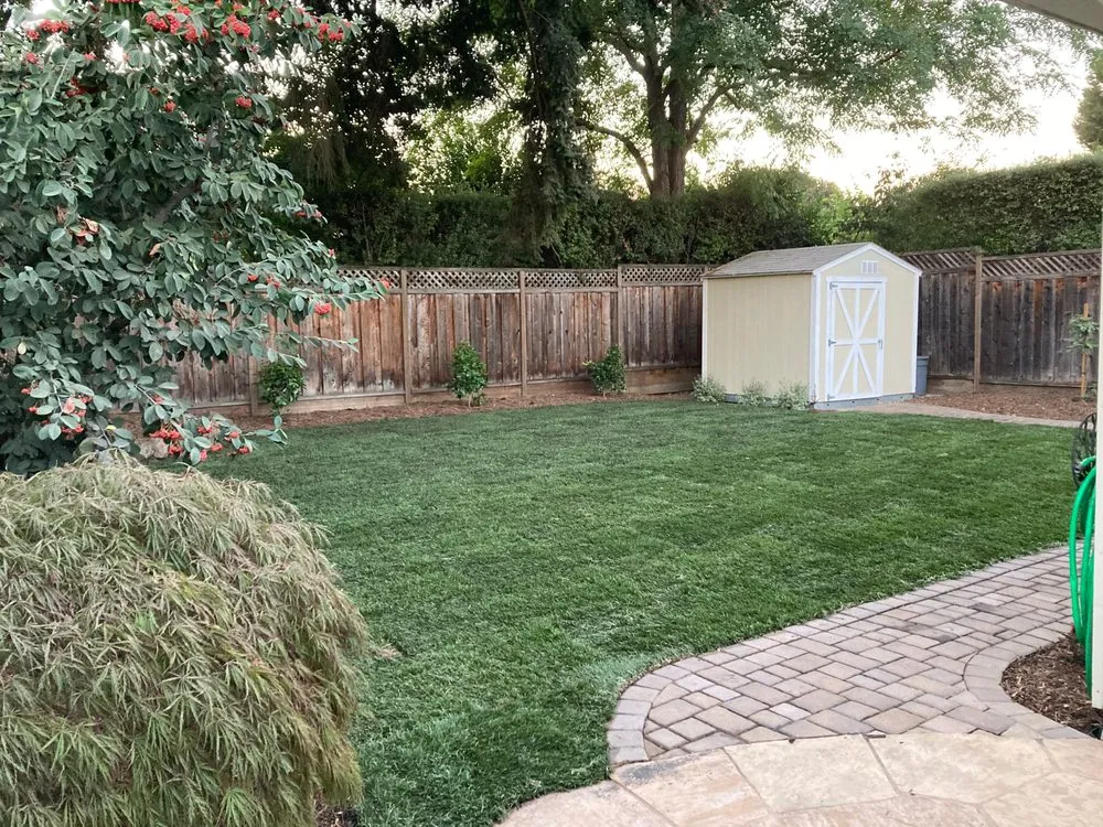 Custom lawn care service experts serving Redwood City, CA - Modica Landscaping
