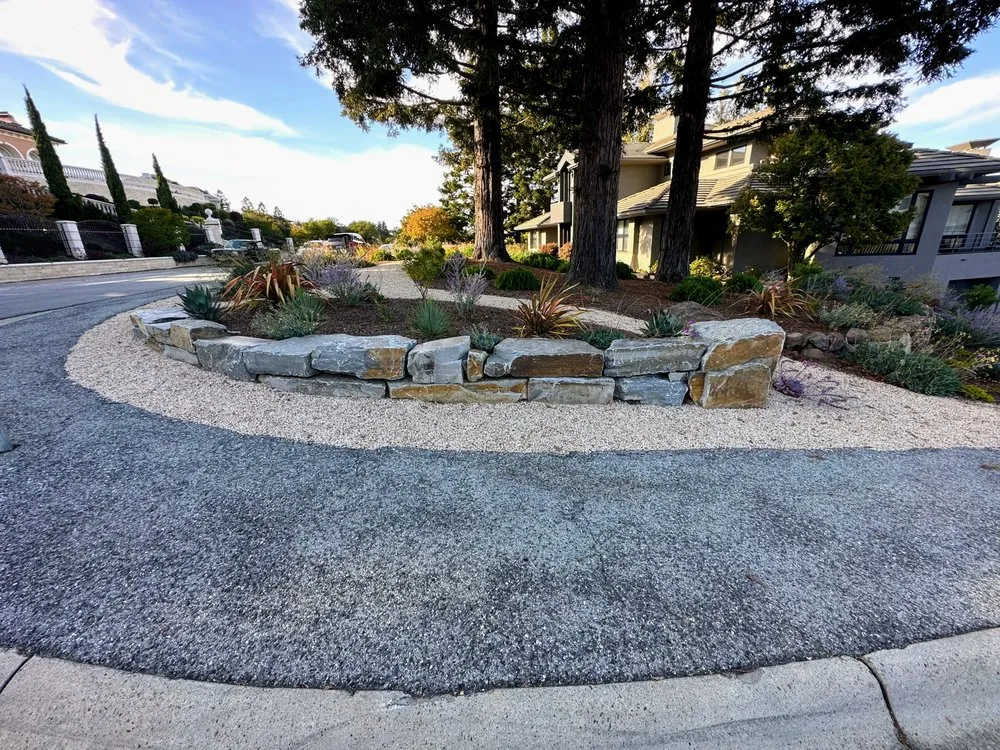 Top-rated yard cleanup service in Redwood City, CA - Modica Landscaping