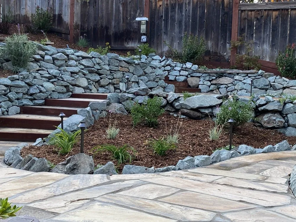 Custom yard cleanup service experts serving San Carlos, CA - Modified Landscape Design