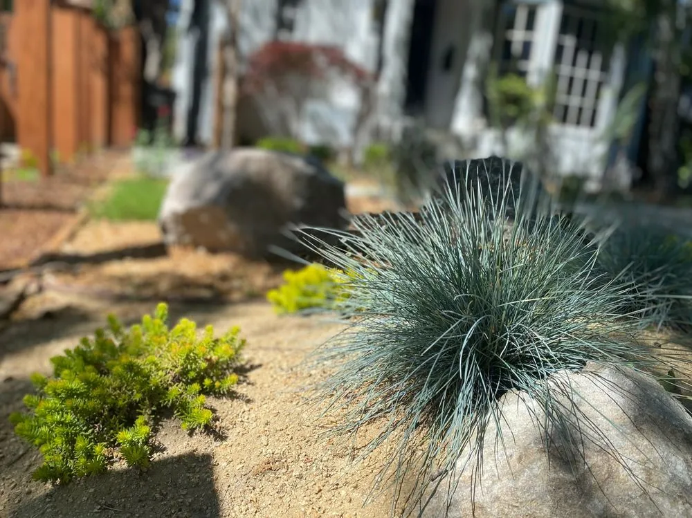 Top-rated landscaping services with custom design across San Carlos, CA - Modified Landscape Design