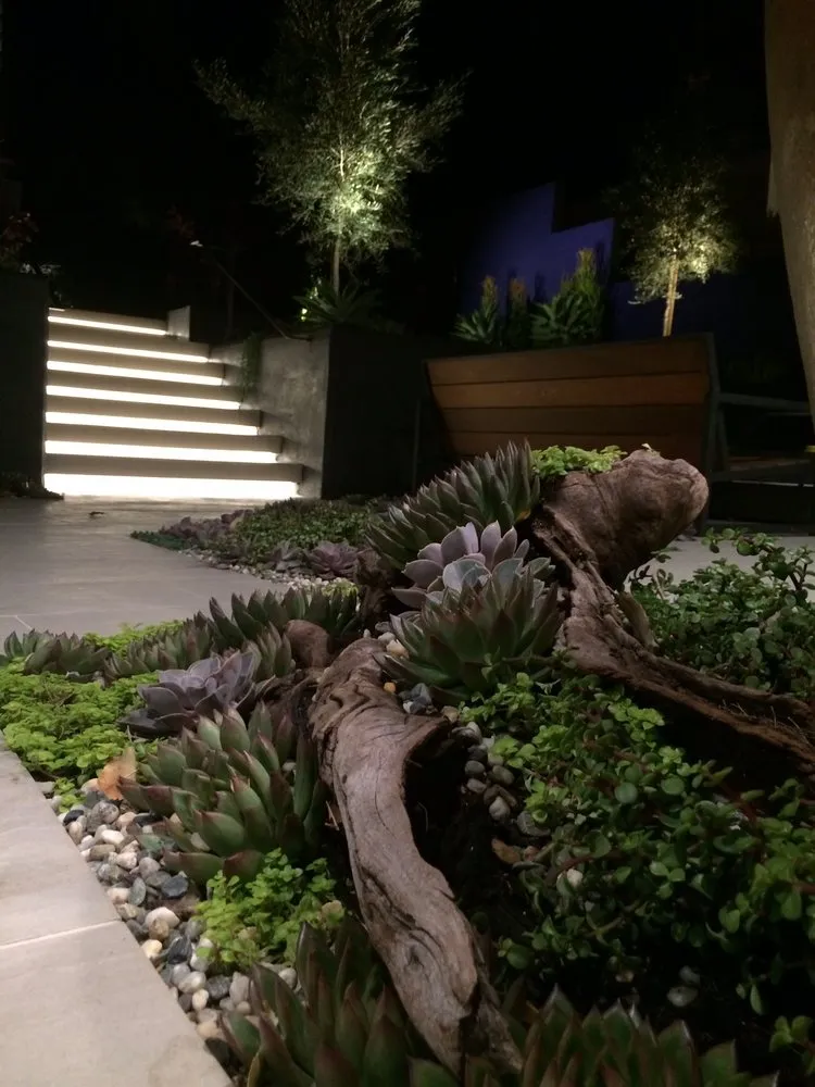Expert garden landscaping experts serving San Carlos, CA - Modified Landscape Design