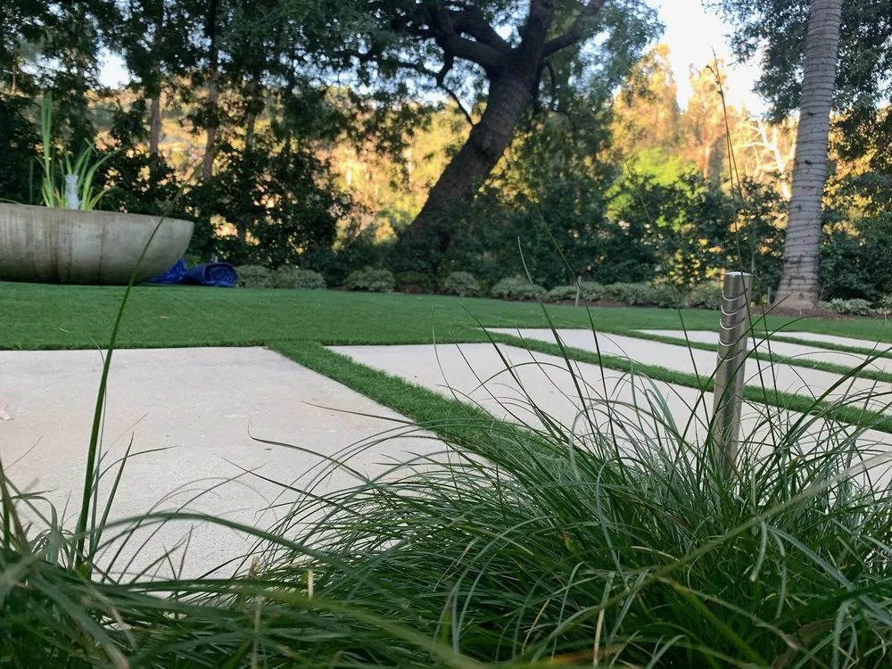 Top-rated yard cleanup service in San Carlos, CA - Modified Landscape Design