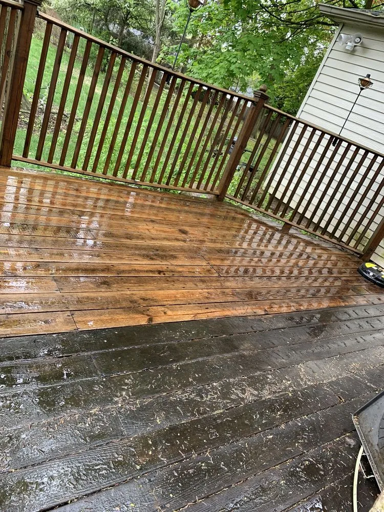 Top-rated garden landscaping experts serving Westland, MI - Modson Care