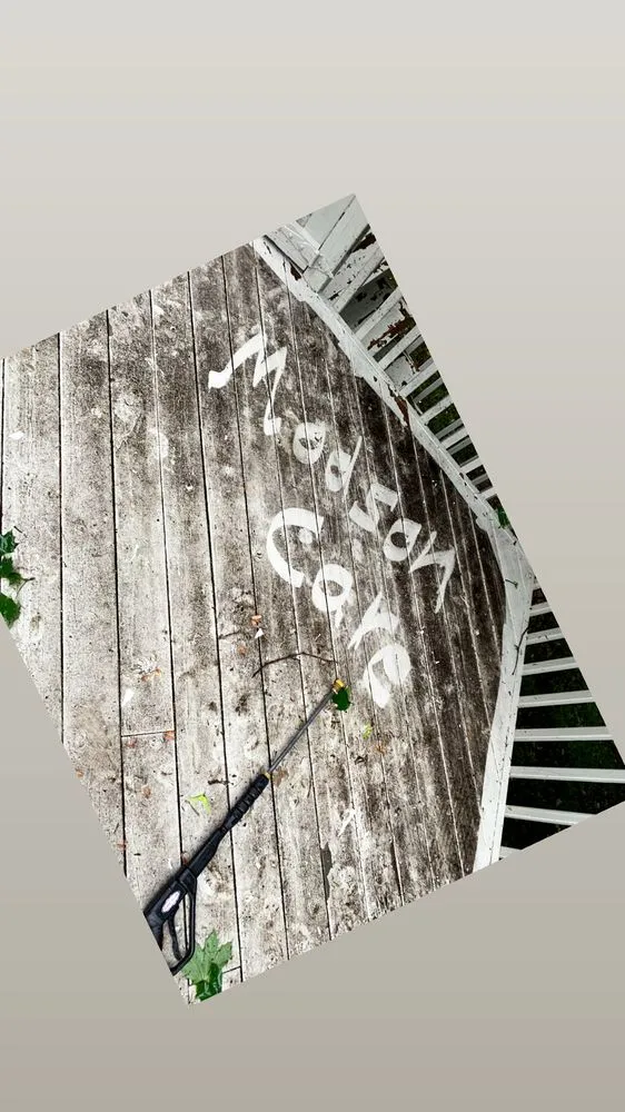 Affordable residential landscaping in Westland, MI by Modson Care