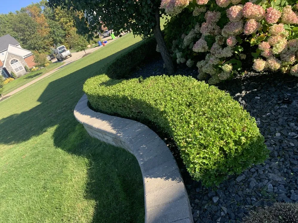 Custom landscape installation with custom design in Westland, MI by Modson Care