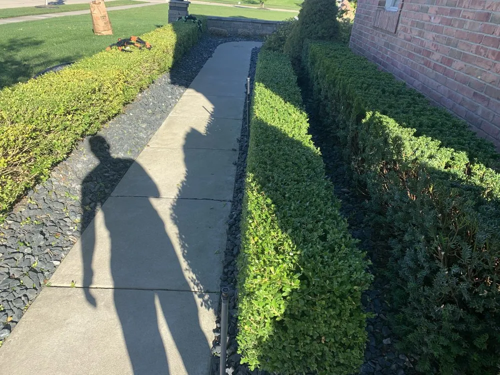 Top-rated lawn care service with custom design across Westland, MI - Modson Care