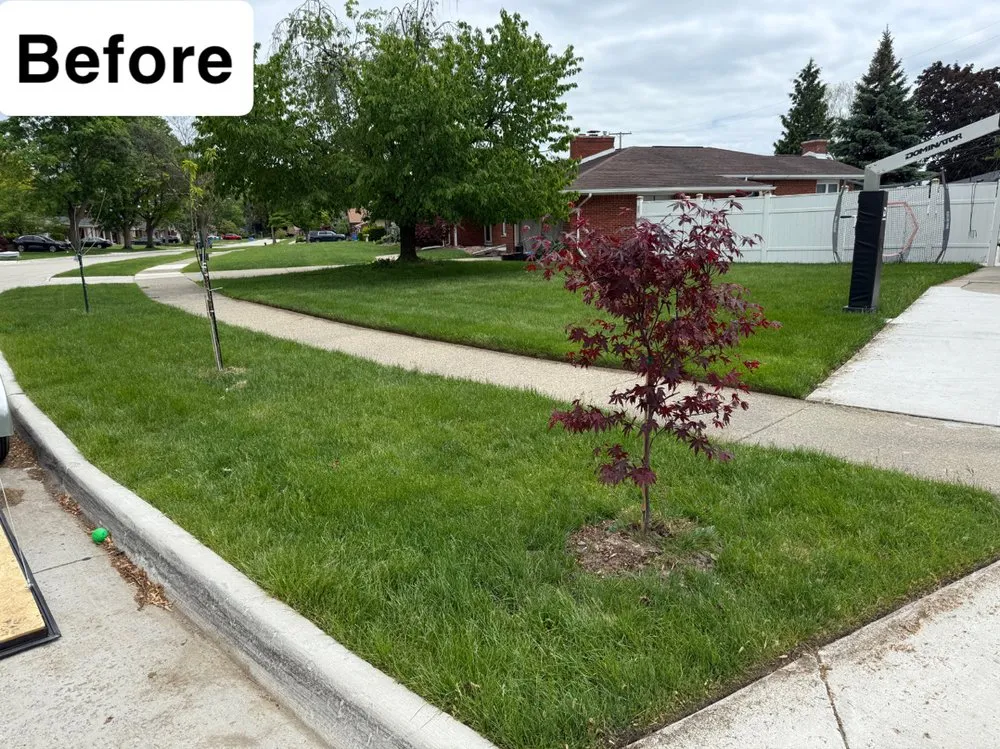 Custom lawn care service in Dearborn Heights, MI - Moe And Bro Turf