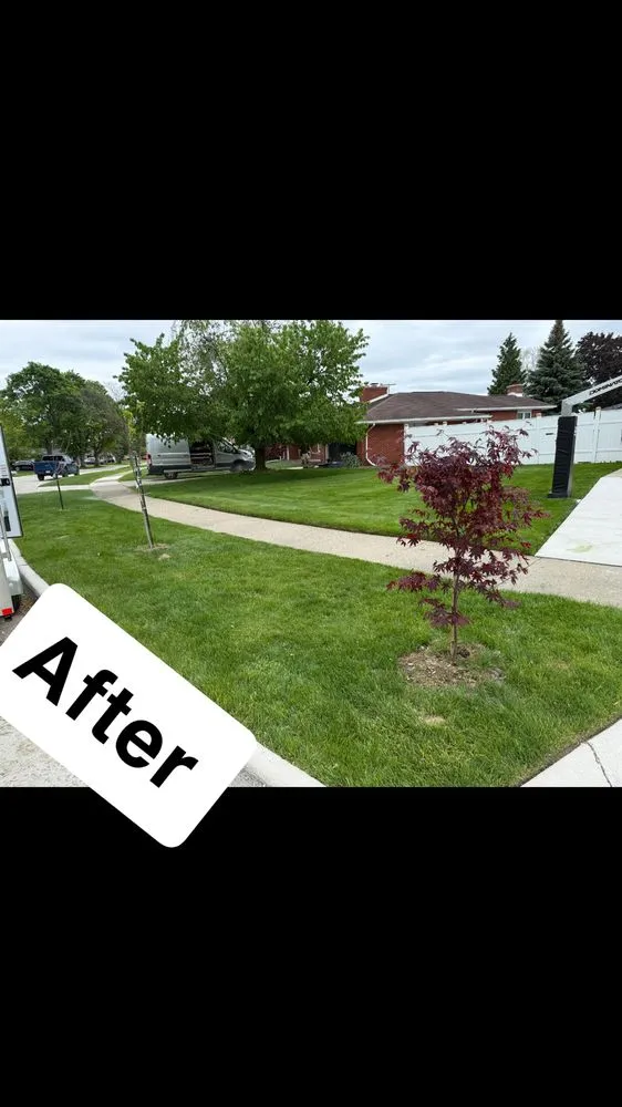 Custom outdoor landscaping in Dearborn Heights, MI - Moe And Bro Turf