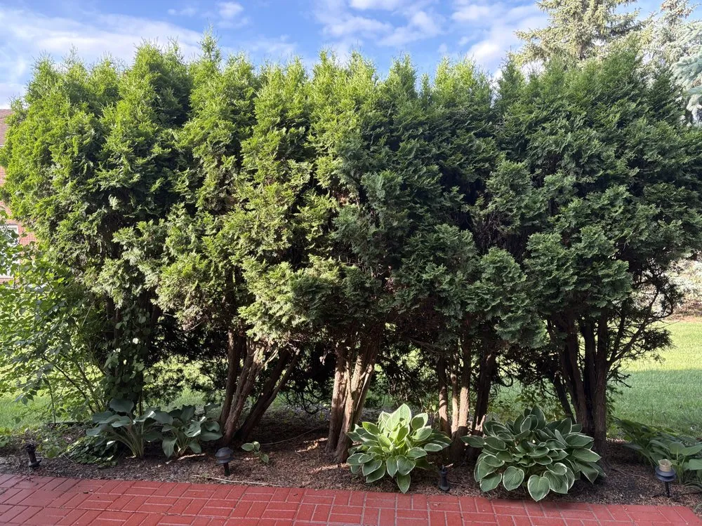 Reliable outdoor landscaping for beautiful yards across Dearborn Heights, MI - Moe And Bro Turf