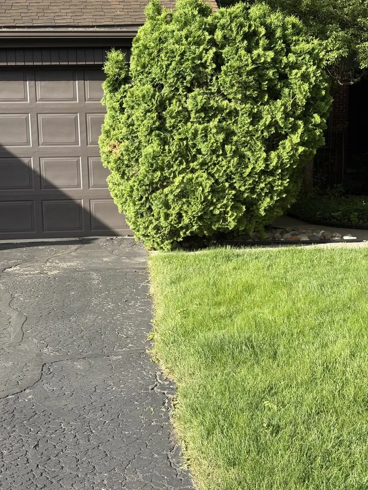 Reliable outdoor landscaping in Dearborn Heights, MI by Moe And Bro Turf