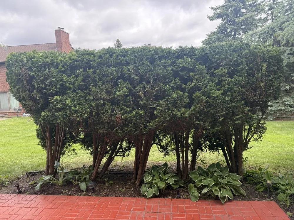 Trusted landscape design with custom design in Dearborn Heights, MI by Moe And Bro Turf