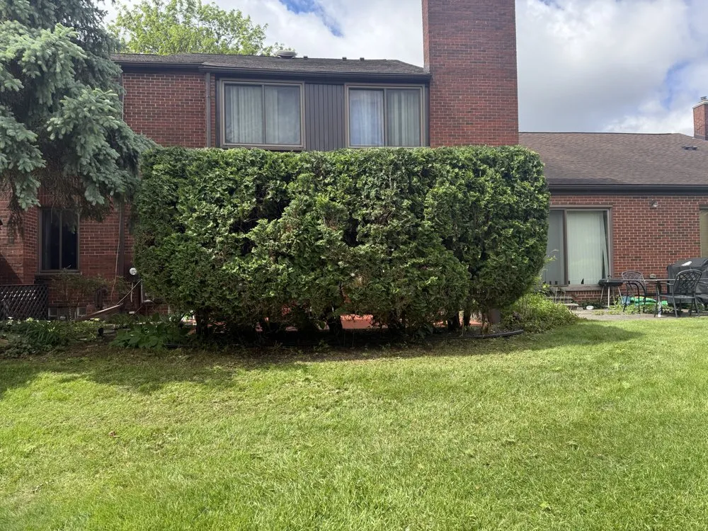 Expert outdoor landscaping in Dearborn Heights, MI by Moe And Bro Turf