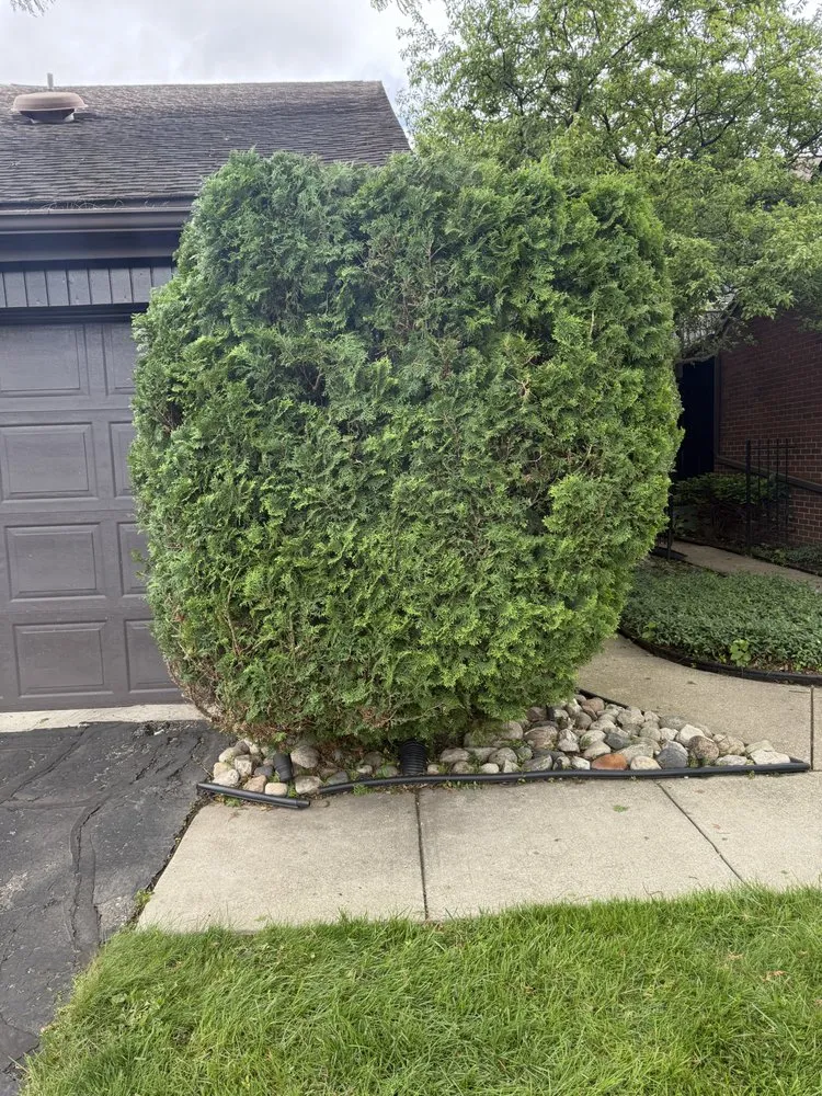 Reliable garden landscaping experts serving Dearborn Heights, MI - Moe And Bro Turf