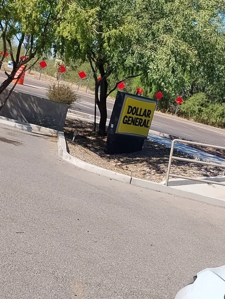 Local landscaping services in Tucson, AZ by Moe, Blow and GO