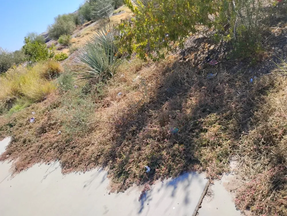 Top-rated lawn mowing service for year-round maintenance in Tucson, AZ by Moe, Blow and GO