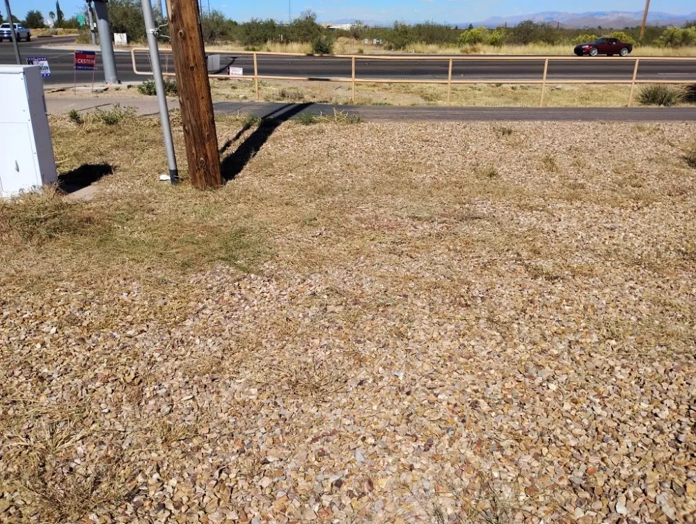 Professional landscape installation experts serving Tucson, AZ - Moe, Blow and GO