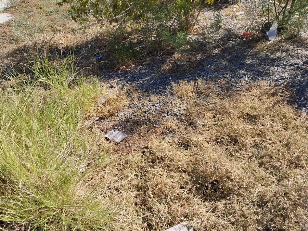 Affordable yard maintenance in Tucson, AZ by Moe, Blow and GO