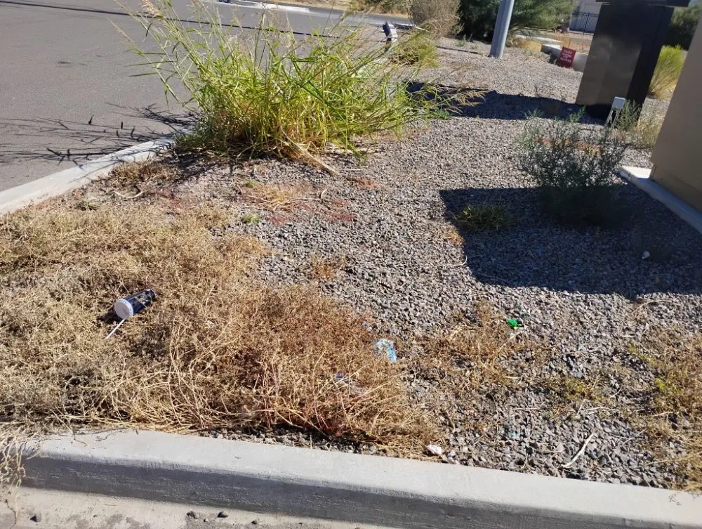 Trusted residential landscaping for residential properties in Tucson, AZ by Moe, Blow and GO