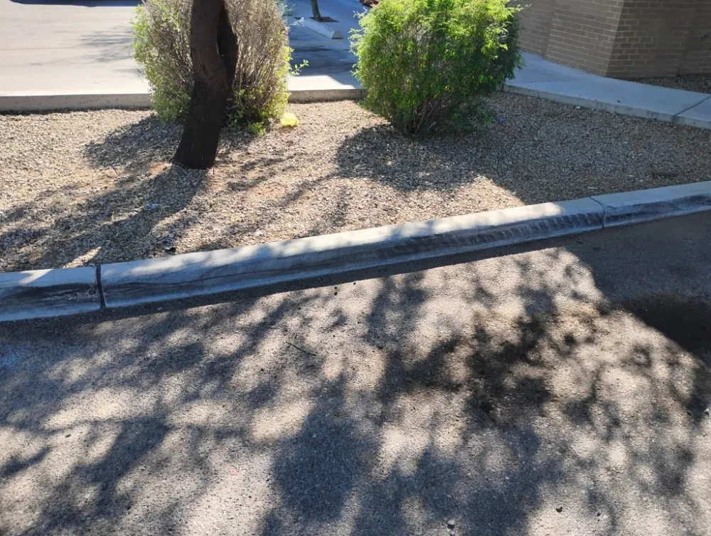 Affordable landscaping services for outdoor upgrades across Tucson, AZ - Moe, Blow and GO