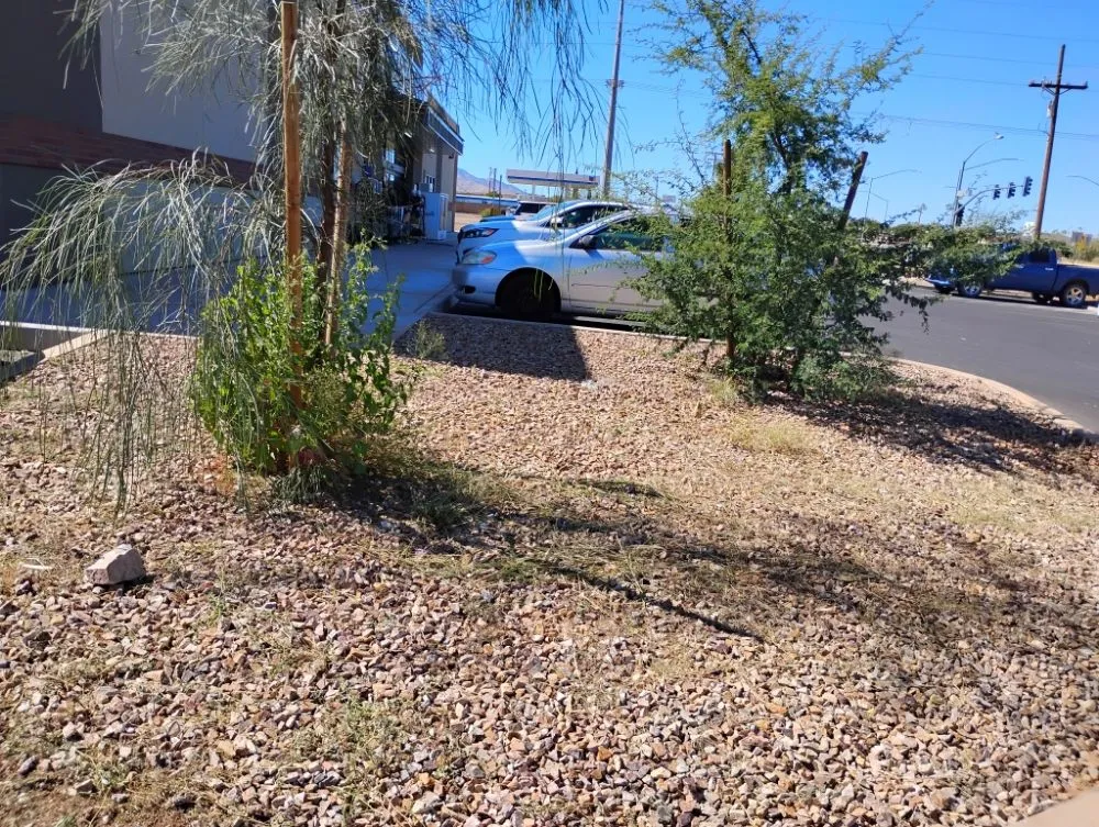 Affordable landscape installation in Tucson, AZ by Moe, Blow and GO