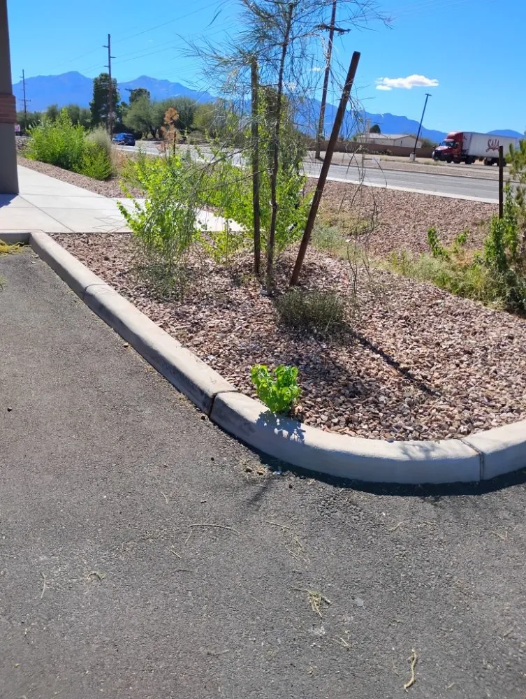 Reliable landscape installation in Tucson, AZ - Moe, Blow and GO