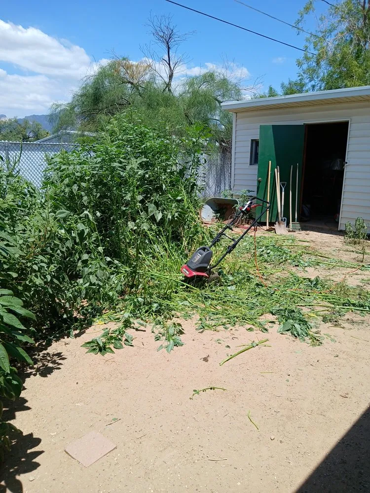 Expert landscape installation experts serving Tucson, AZ - Moe, Blow and GO