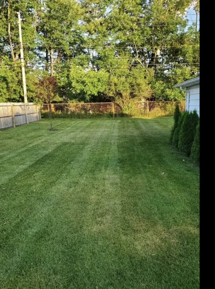 Affordable lawn mowing service experts serving Dearborn Heights, MI - Moe Landscaping