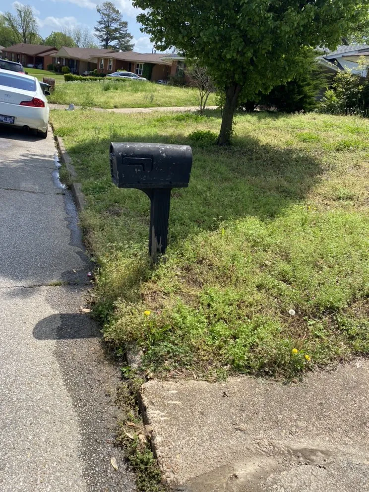 Top-rated landscaping services experts serving Memphis, TN - Moe Solutions