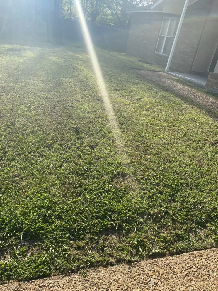 Affordable garden landscaping in Memphis, TN - Moe Solutions