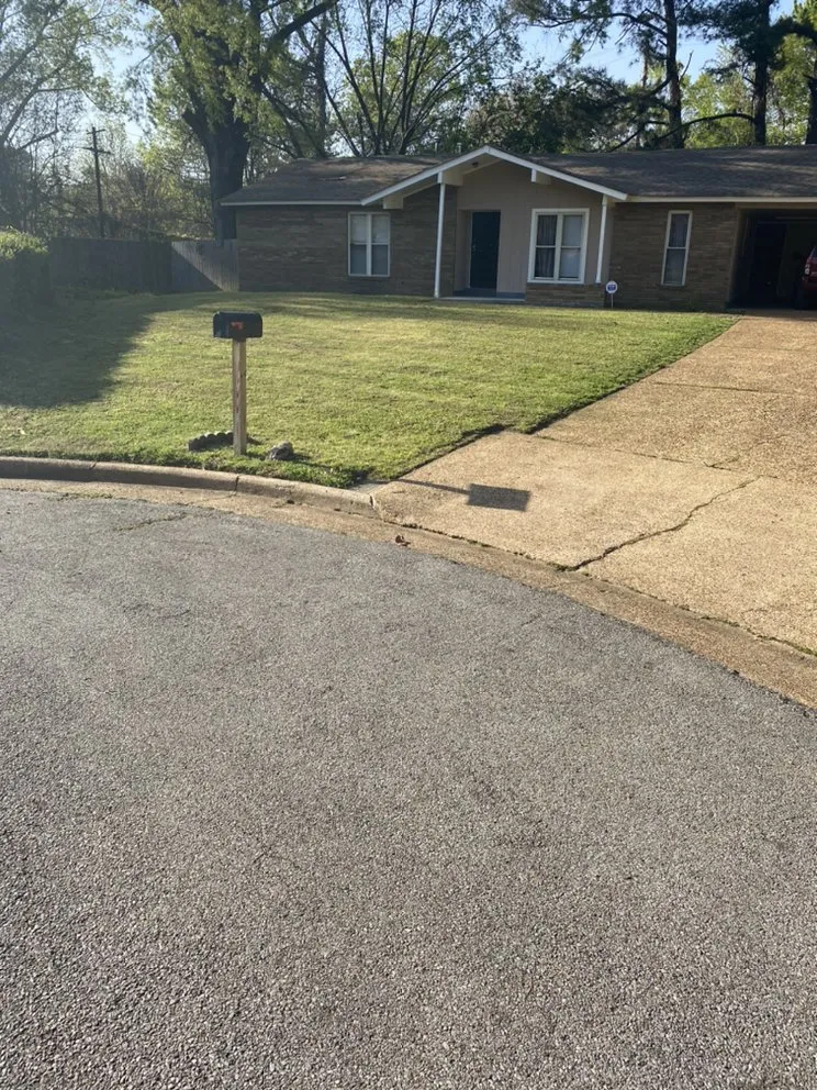 Professional landscape installation in Memphis, TN by Moe Solutions