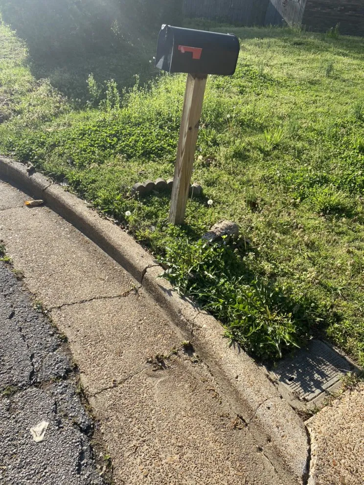 Professional outdoor landscaping for homes across Memphis, TN - Moe Solutions