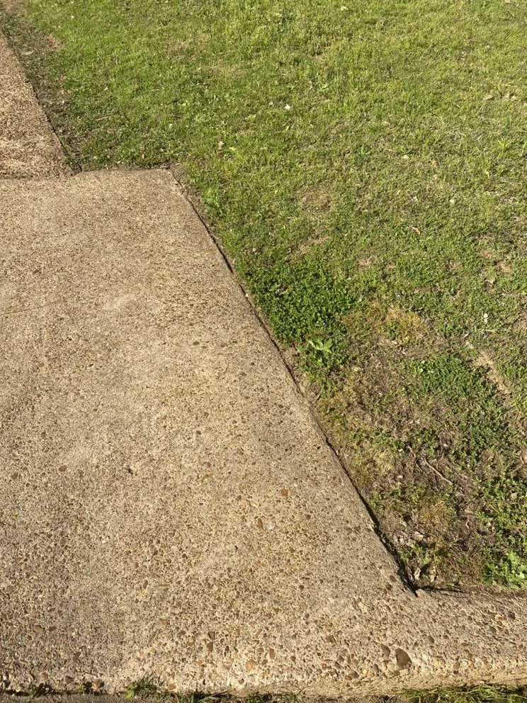 Professional outdoor landscaping in Memphis, TN - Moe Solutions