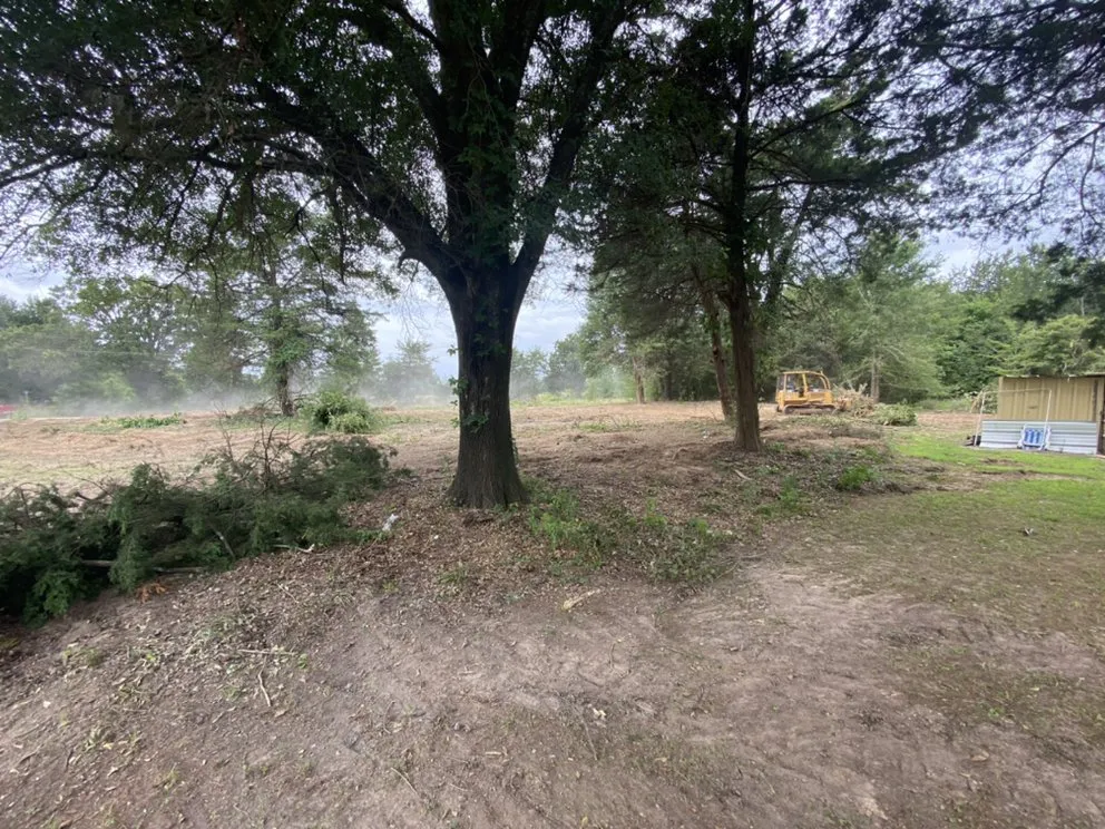 Local landscaping services experts serving Powderly, TX - Moe Yards