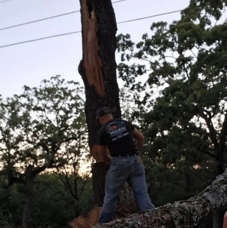 Local landscape installation near you in Gore, OK by Moen Exterior Solutions
