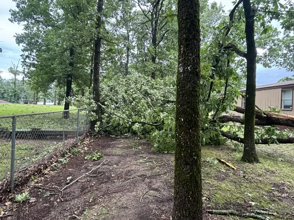 Top-rated yard cleanup service for outdoor upgrades across Gore, OK - Moen Exterior Solutions