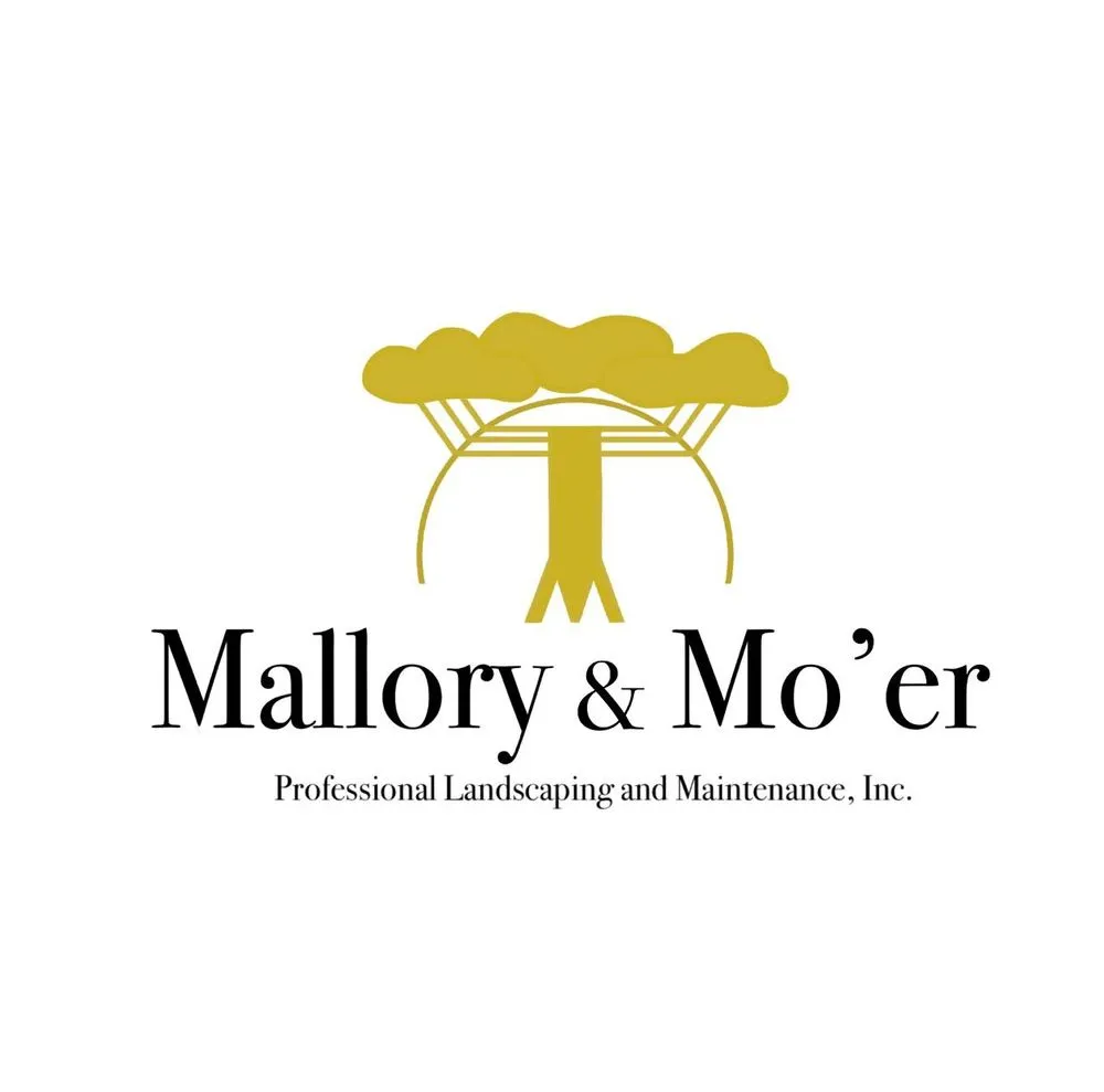 Affordable lawn care service in Tampa, FL by Moerlawns