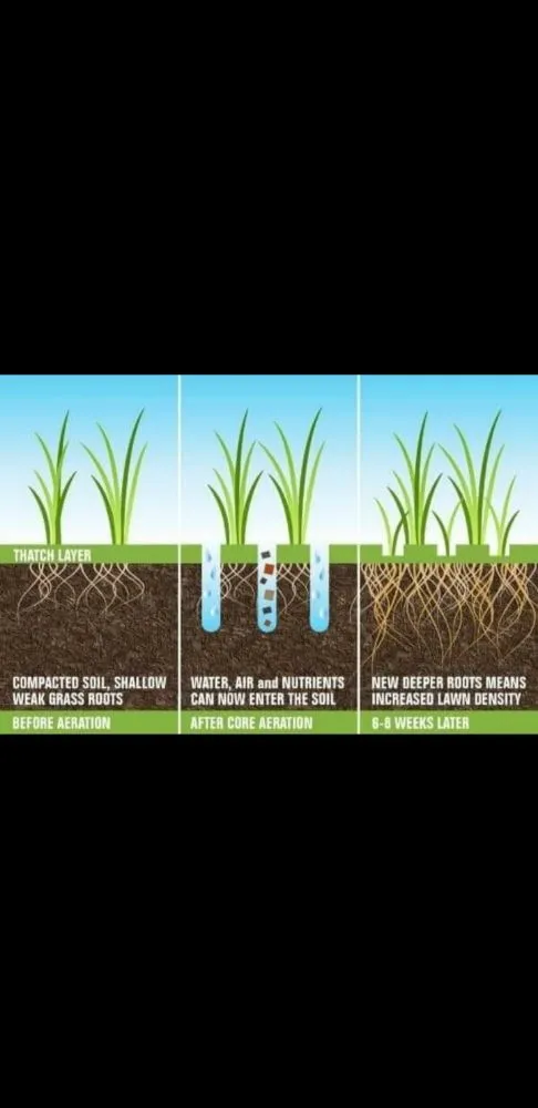 Trusted lawn mowing service in Hanover Park, IL - Moe's Healthy Lawns