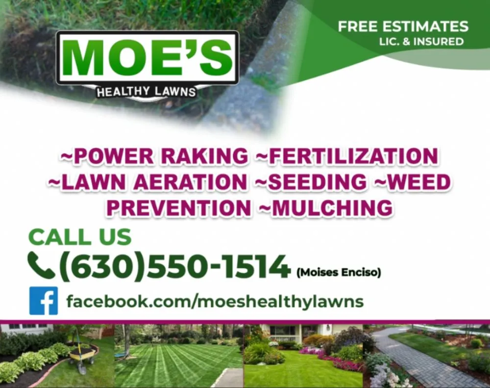 Expert yard cleanup service in Hanover Park, IL - Moe's Healthy Lawns