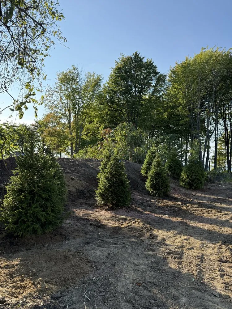 Professional outdoor landscaping for homes in Conneaut, OH by Moe’s Lakeside Landscape & Excavation