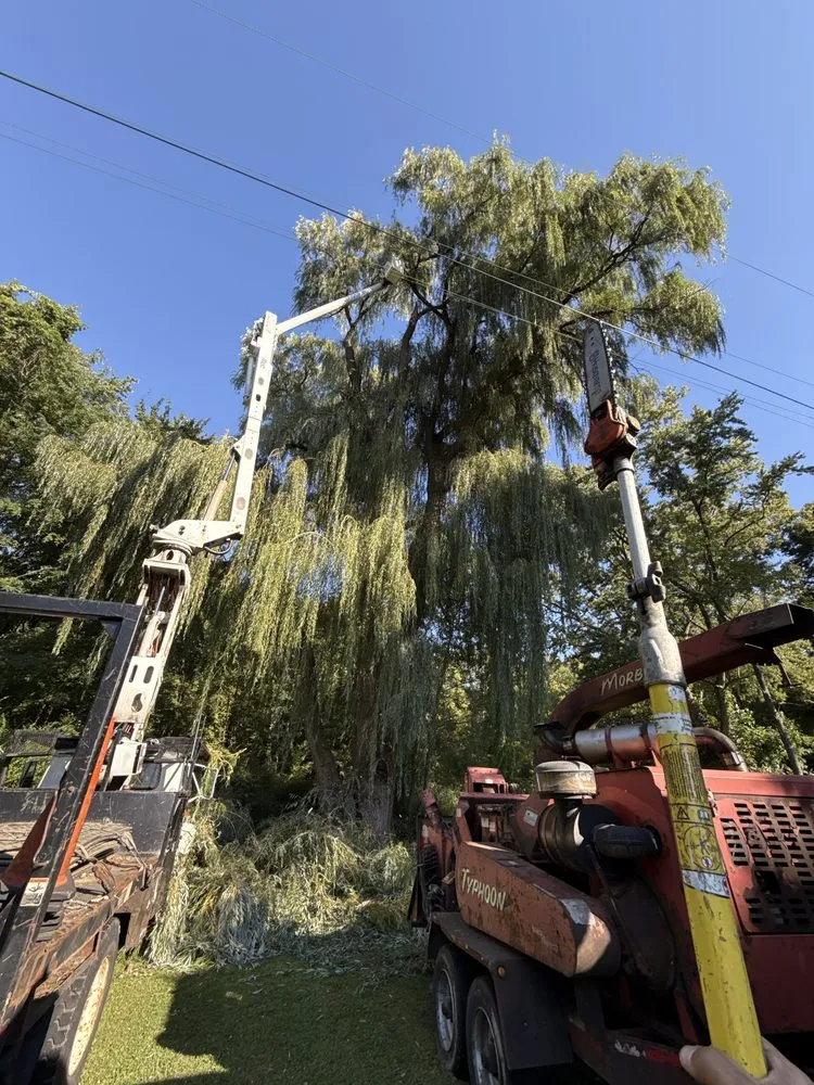Reliable yard maintenance for homes in Conneaut, OH by Moe’s Lakeside Landscape & Excavation