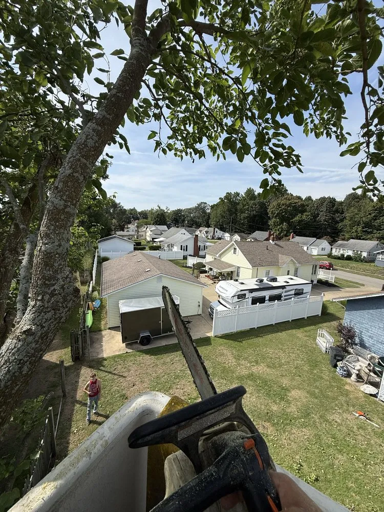 Affordable garden landscaping for homes across Conneaut, OH - Moe’s Lakeside Landscape & Excavation