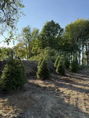 Moe’s Lakeside Landscape & Excavation Logo